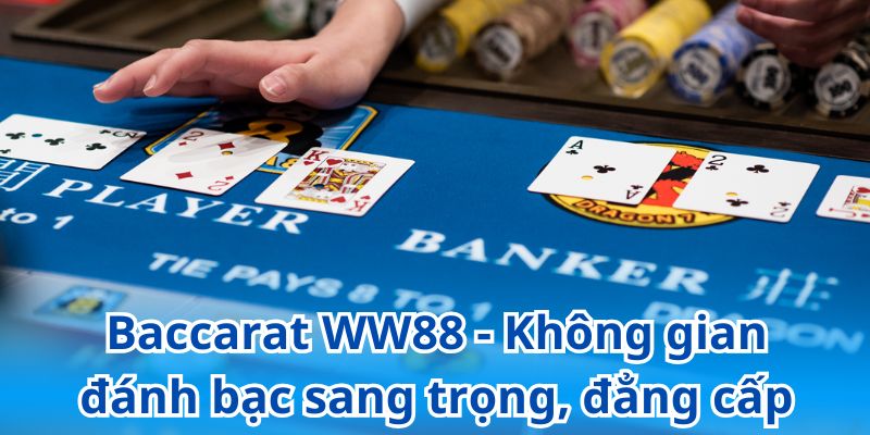 Baccarat WW88 - Không gian đánh bạc sang trọng, đẳng cấp