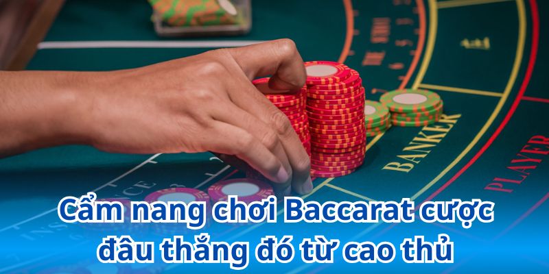 Bỏ túi các chiến thuật đánh bạc giúp thắng lớn lên đến 99%