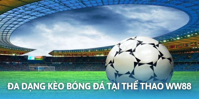 Yếu tố nổi bật tạo nên thương hiệu thể thao WW88