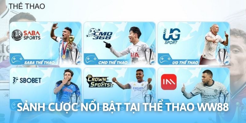 Những sảnh cung cấp kèo nổi bật tại thể thao WW88